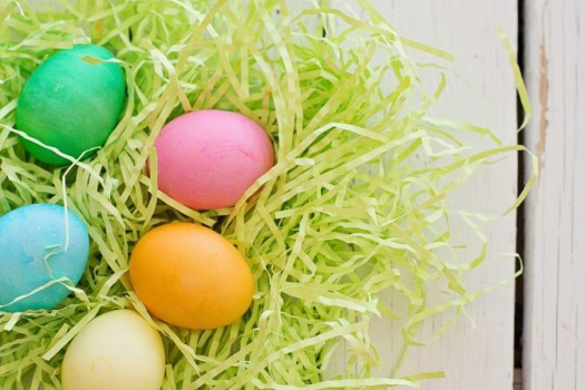 Easter egg basket and nest, different coloured eggs, featured on XCL website, April newsletter